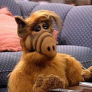 alf stag
