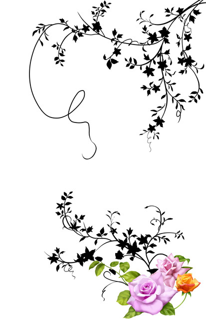 1b00a734476231bca56711efe307e5f4.jpg