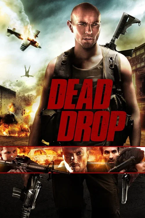 Śmiertelny Błąd / Dead Drop (2013) 1080p.WEB-DL.H264.AC3.2.0.BP007 | Lektor PL