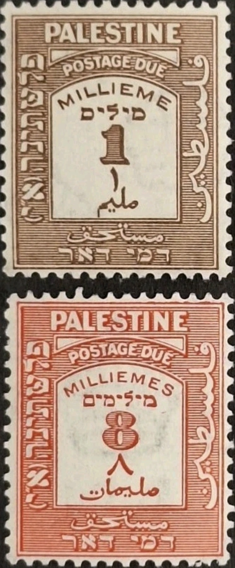 https://i.ibb.co/wrdH51YK/1-ann1.jpg
