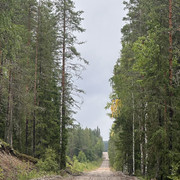 IMG 4511