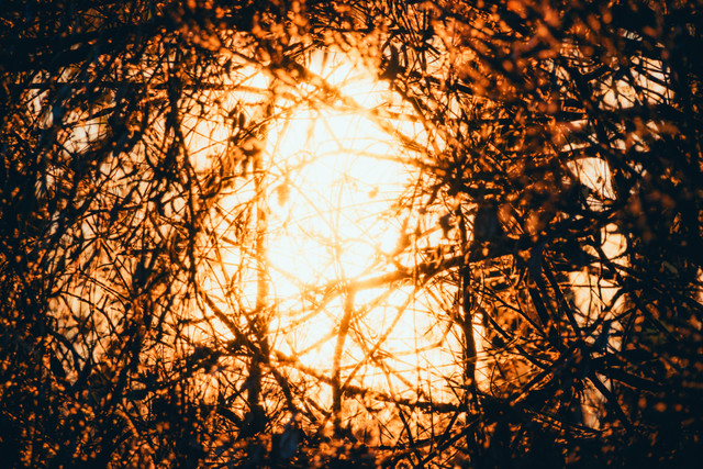 DSCF0956 копия