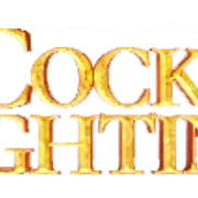 cockfight