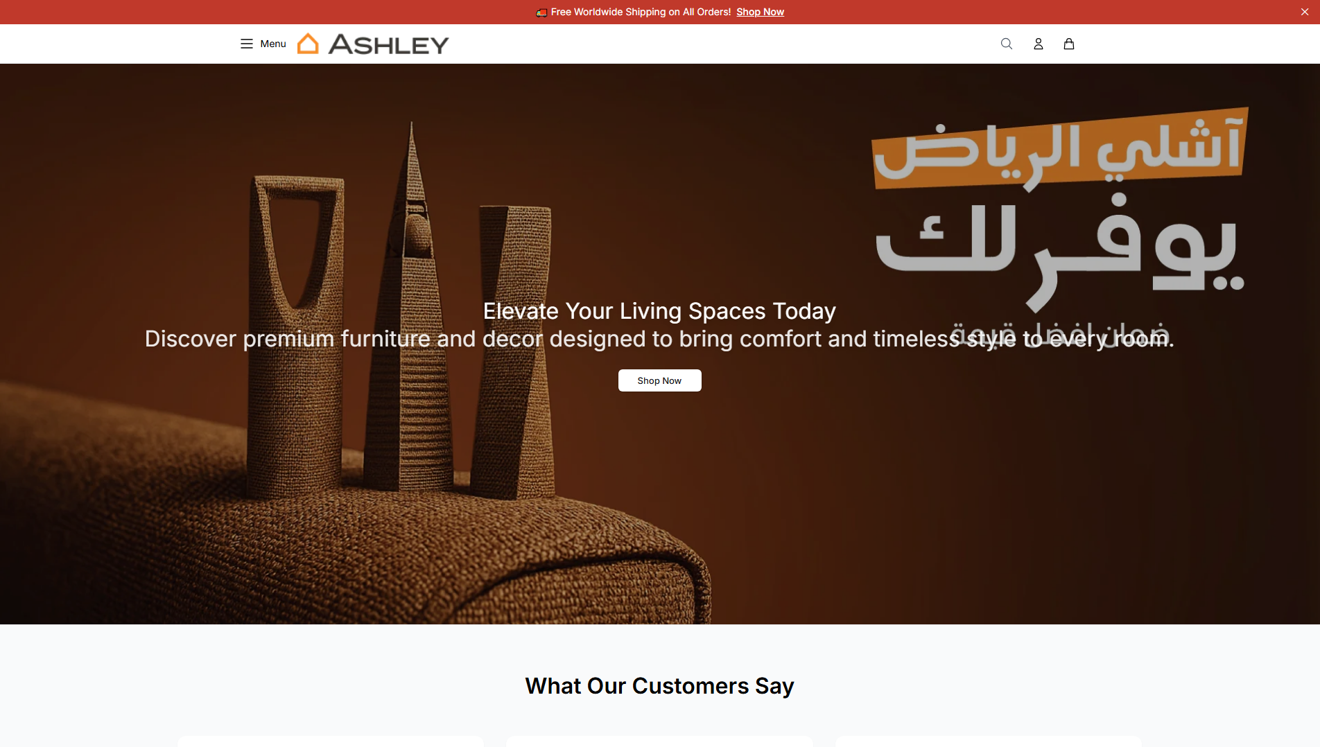 Stored capture of ashleyonline.shop