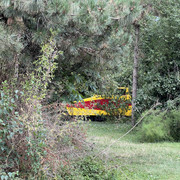 IMG-0405