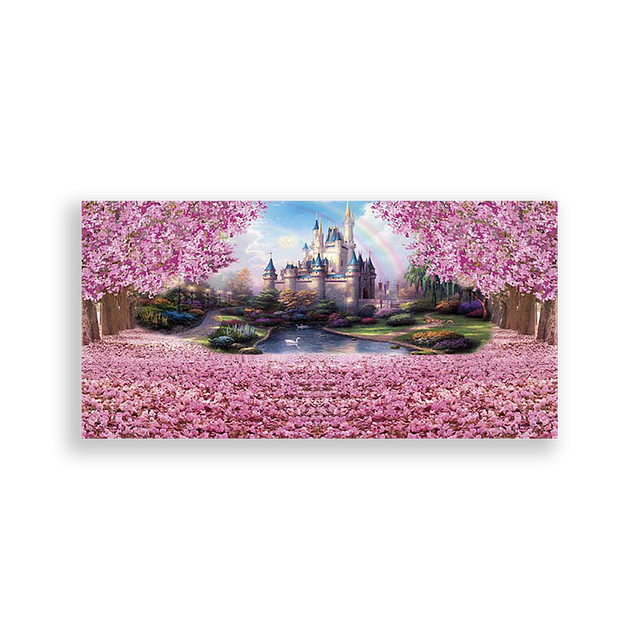 703705-Disney-Castelos-Ana