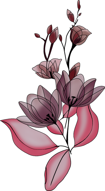 0be025267147a8a342f6b60acaf424d1 (1).png