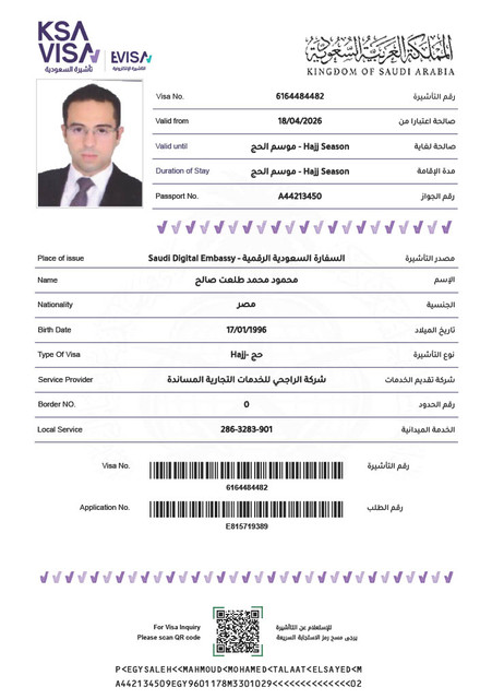 محمود محمد طلعت صالح