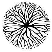 mycelium
