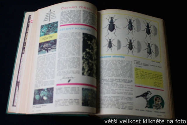 IMG-2467.jpg