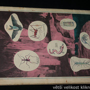 IMG-3593