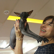 IMG 0252