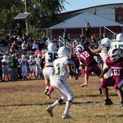 IMG-5314
