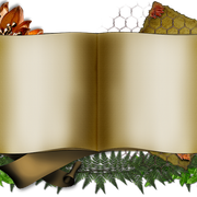 0-3b7c3-a88eed2b-XL