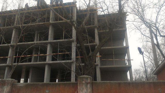 IMAG0080.jpg