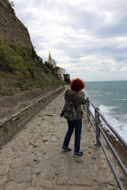 IMG-9840.jpg