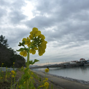 P1130663