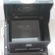 IMG-1480