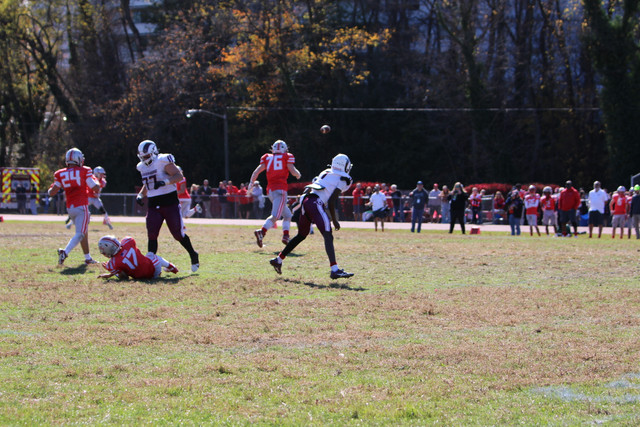IMG-1182.jpg