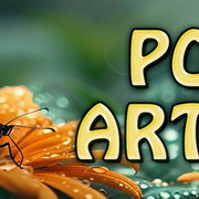 popart23