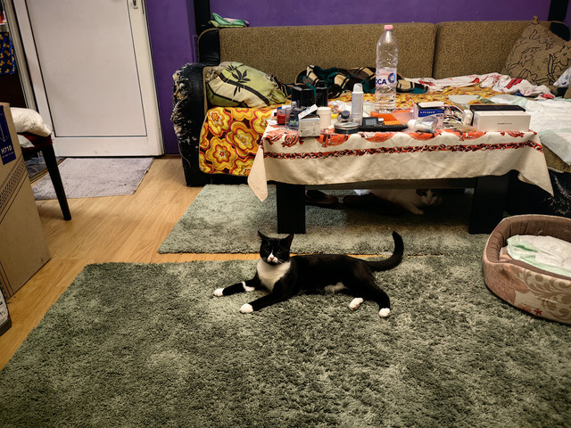 IMG 20260306 010010