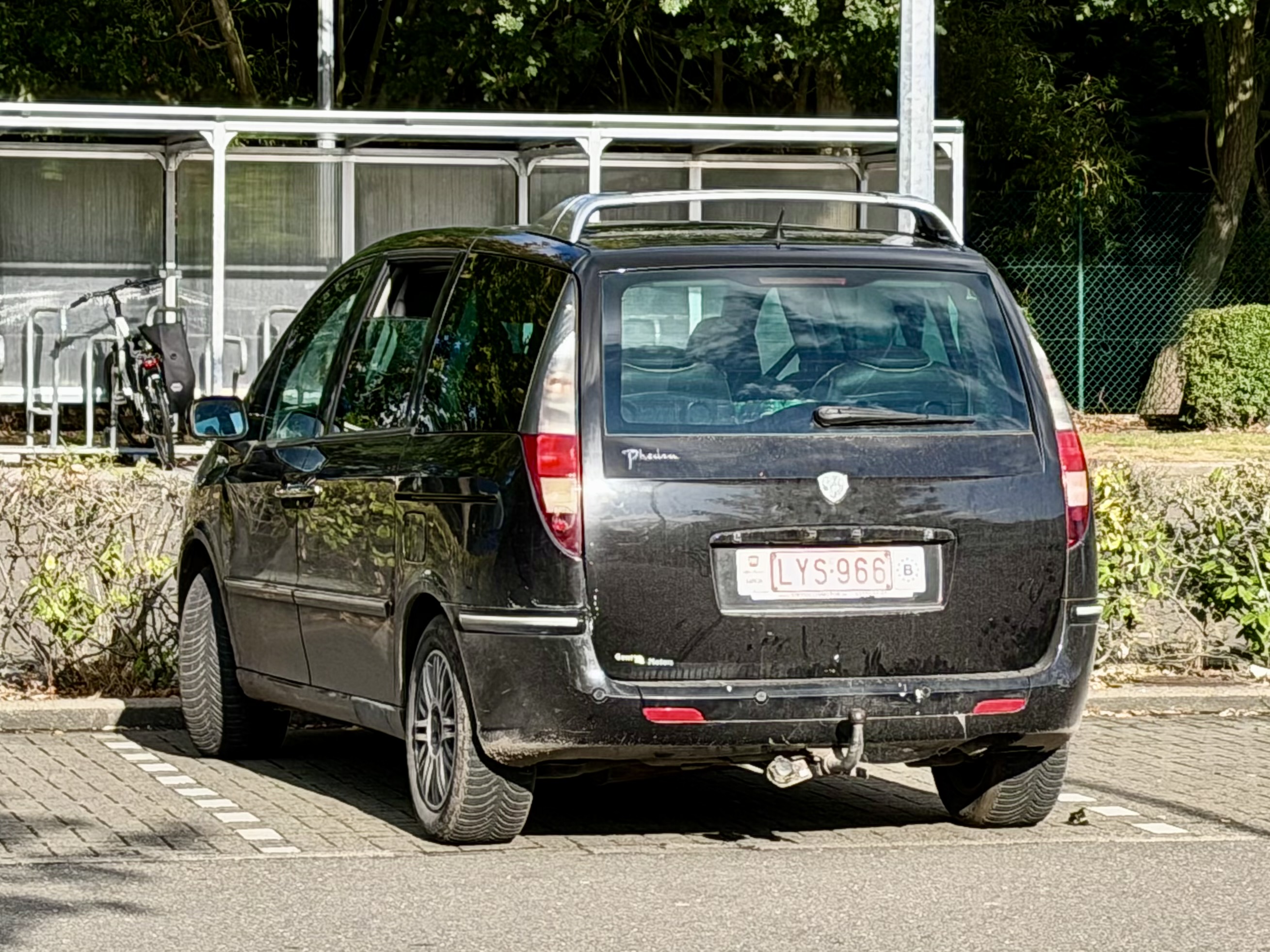 IMG-0121.jpg