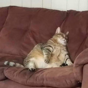 170