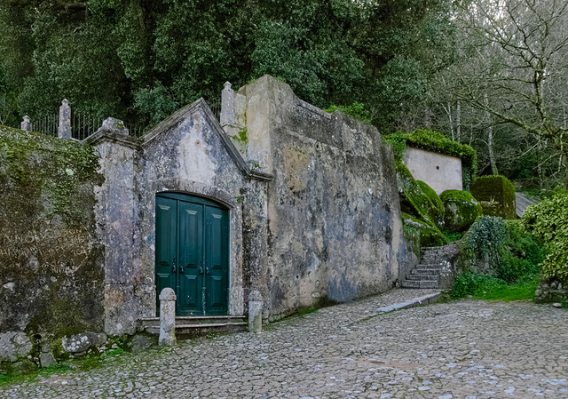 IMGP8268-1.jpg