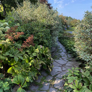 IMG-0612