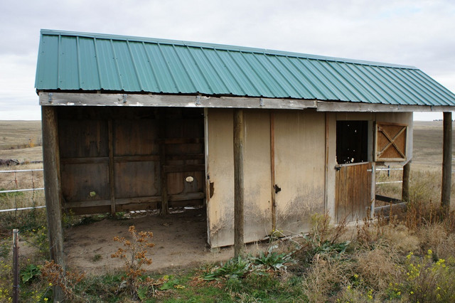 SONY DSC.jpg