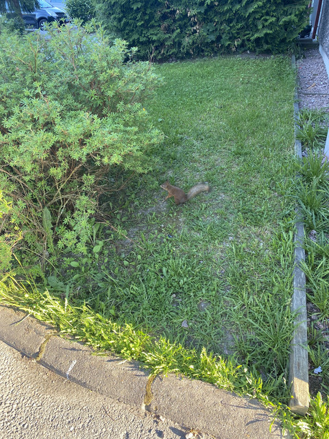 724-A9-A6-E-402-B-4-EB0-86-BD-33-ACED790