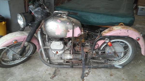 Guzzi Pink Lady Ambassador.jpg