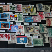 IMG-6848