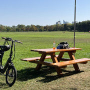IMG-1517
