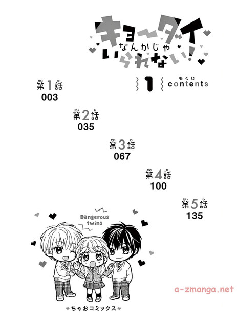 DLRAW-NET-0004