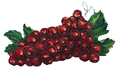 107.png