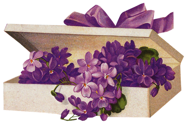 a5c6a871c2ed.png