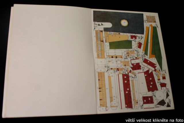 IMG-4608.jpg