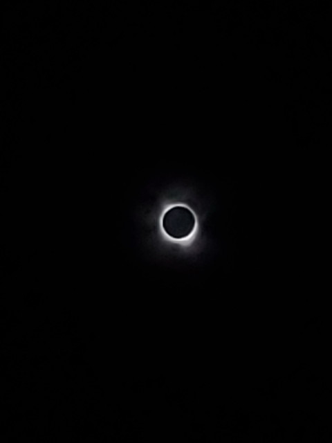 20240408-143751.jpg