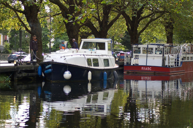 IMGP9156.jpg