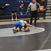 IMG-0219
