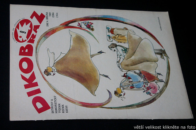 IMG-7675.jpg