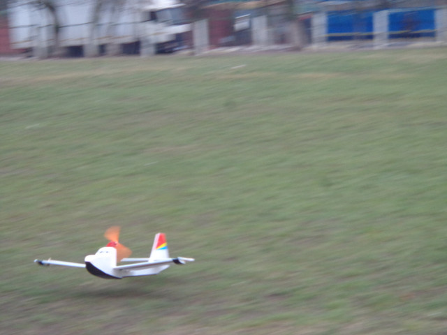 DSC03819.jpg