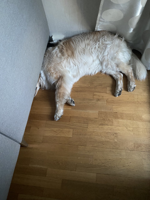 BC71-FEB1-F9-FB-4673-9-D2-D-2-F9-F45-BA8