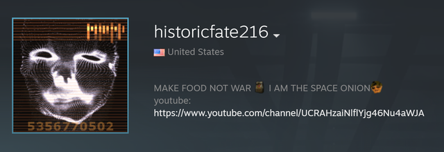 steam-df