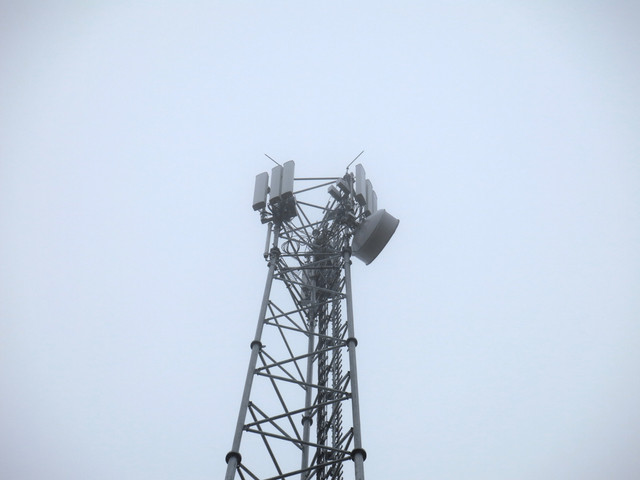 IMG-0277