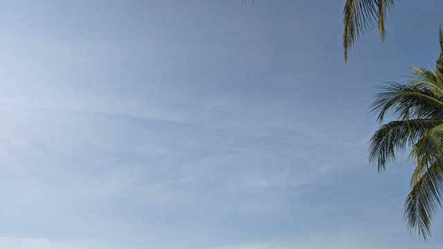 Sky