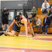 IMG-0341