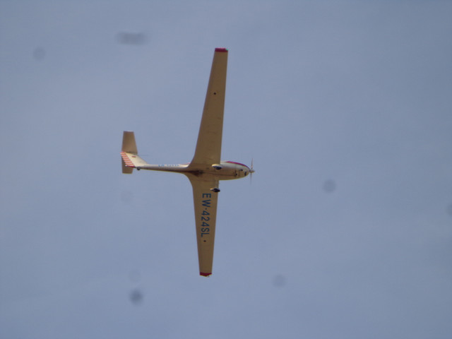 DSC00603