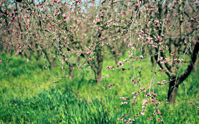 spring-049